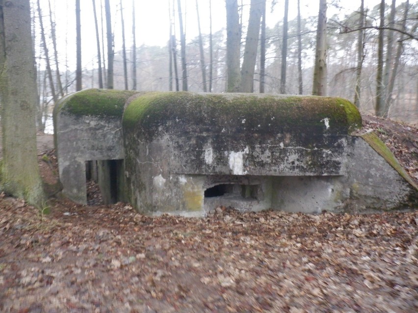 Na linii Jezior Brodnickich znajdują się betonowe bunkry z...