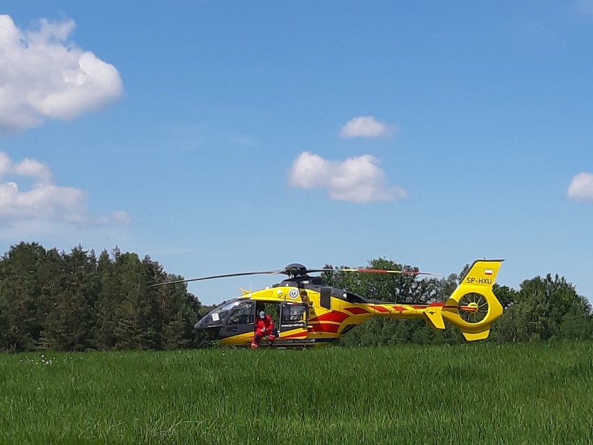 AKTUALIZACJA Tragedia w gminie Trzebielino. Nieopodal Gumieńca zginął 23-letni drwal (zdjęcia)