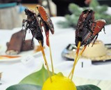 Pieczone karaluchy podane w łódzkiej szkole