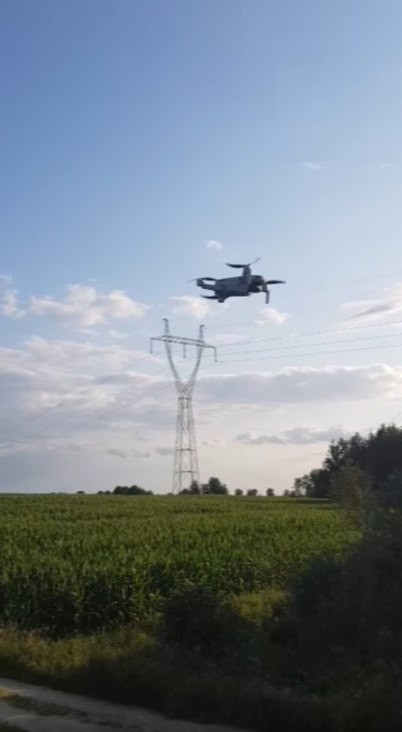 Półtonowy byk uciekł z gospodarstwa koło Rypina. Pościg strażaków za zwierzęciem [zdjęcia, wideo]