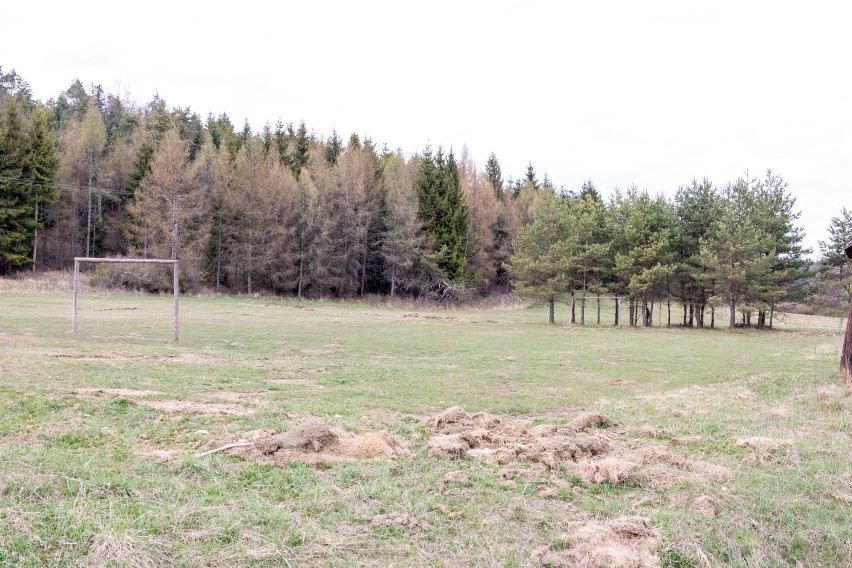 Mieszkało tam prawie pół tysiąca ludzi. Dzisiaj Radocyna w Beskidzie Niskim, to kilka miejsc noclegowych, żerowisko i piękne krajobrazy