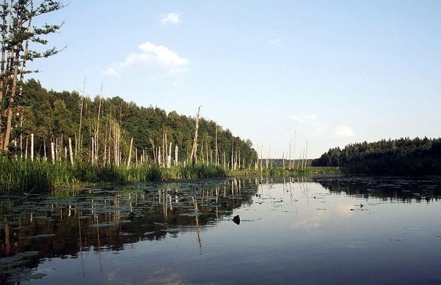 Dolina Rospudy.Znajduje się na Pojezierzu Suwalskim i...