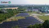 Colian buduje farmę fotowoltaiczną w Opatówku