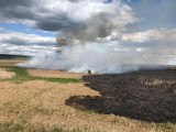 Pożary łąk koło Lipiej Góry: Trzy niebezpieczne zdarzenia w ciągu dwóch dni. Policja szuka podpalacza