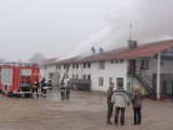 Jedenaście zastępów straży pożarnej brało udział w akcji gaszenia pożaru w stajni