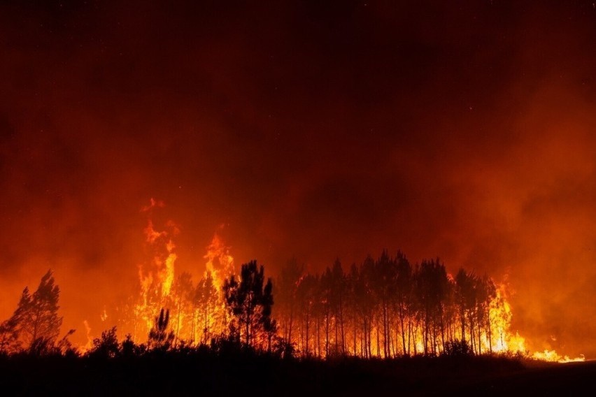 Strażacy z Trzebnicy jadą gasić pożary lasów we Francji