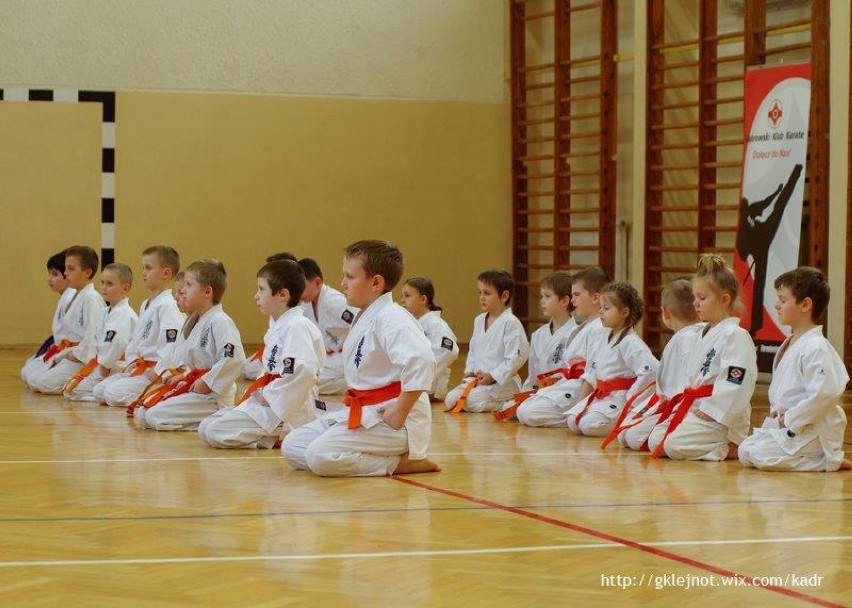 Dąbrowski Klub Karate: mali i duzi karatecy w akcji [FOTO]