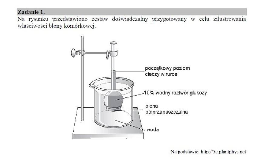 Matura 2018 biologia poziom rozszerzony. Matura z biologii 10.05.2018 na poziomie rozszerzonym [arkusze CKE, odpowiedzi]