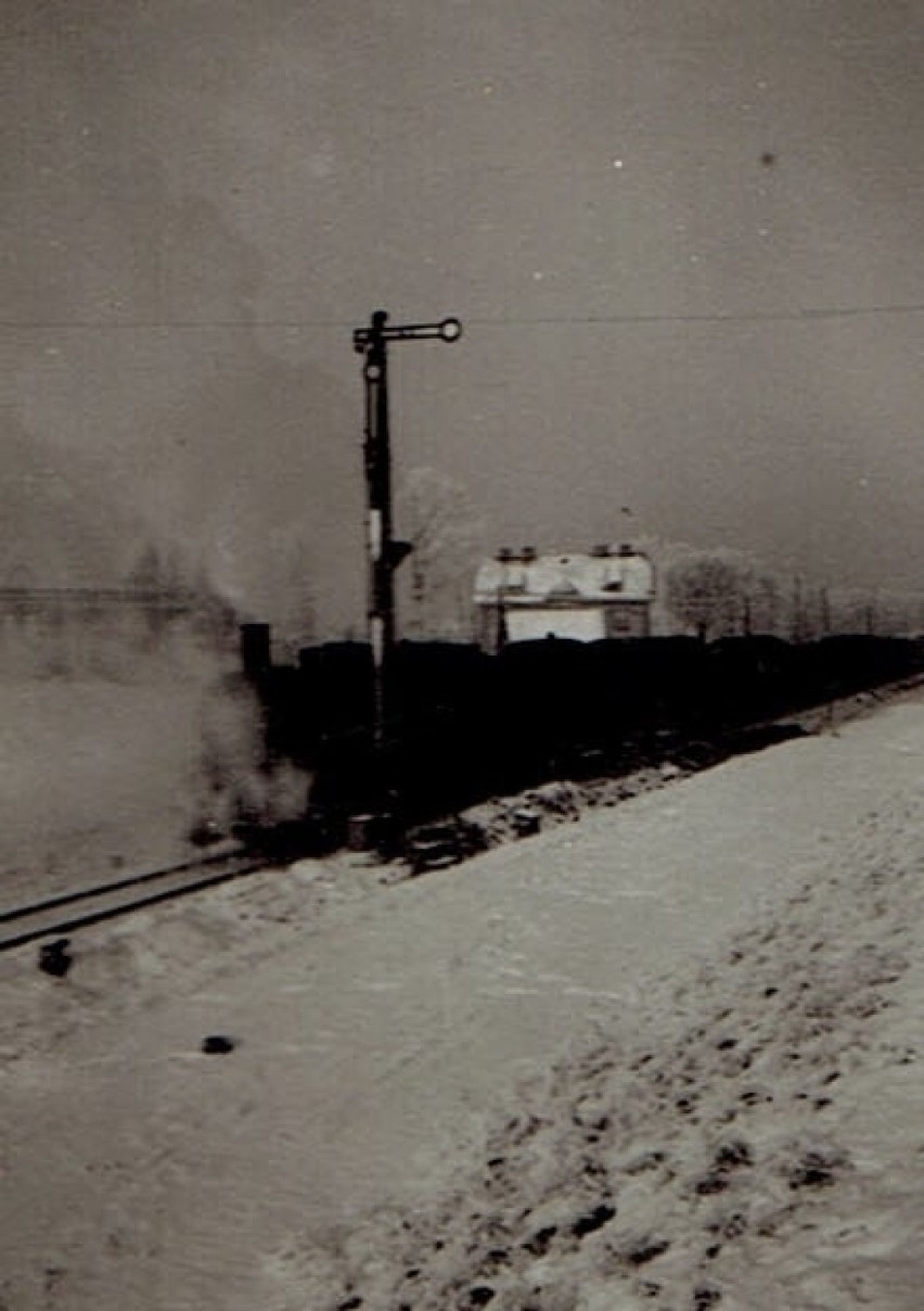 Pociąg towarowy z Chojnic do Nakła (rok 1956)