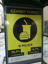 W Poznaniu pojawiły się czarne punkty żywieniowe. Co oznaczają?