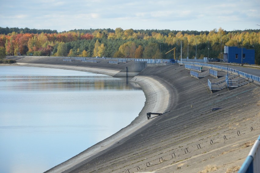 Trwa rewitalizacja terenów nad Zalewem Sulejowskim. Odsłonięte plaże, piaskowane molo i wycinki drzew. 22.10.2022