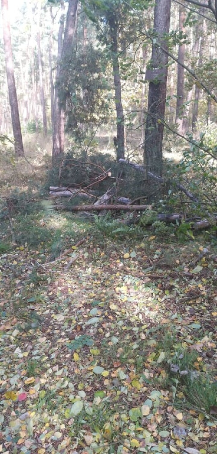 Kolejne zniszczenia na terenie gminy Lubin Strażacy z OSP interweniują