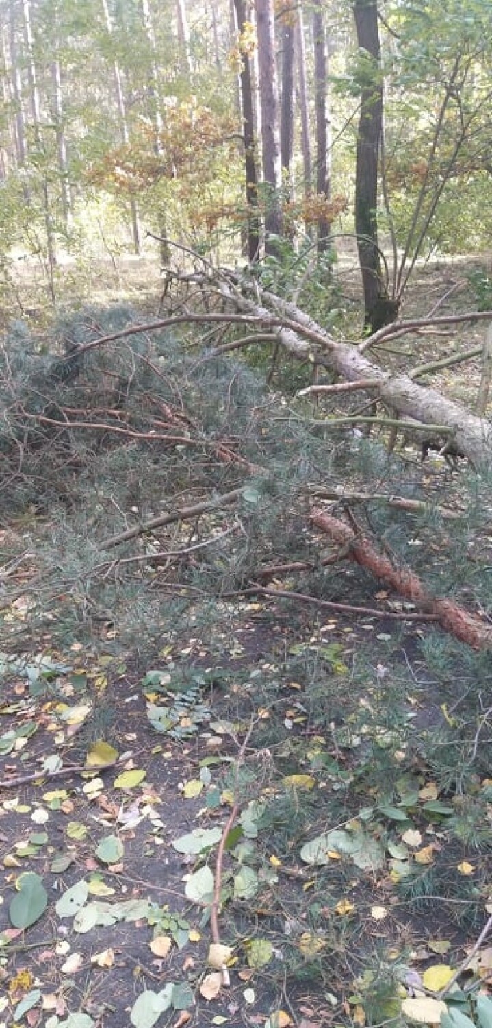 Kolejne zniszczenia na terenie gminy Lubin Strażacy z OSP interweniują