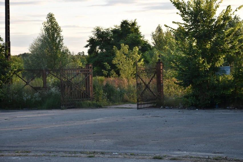 Tereny dawnej cukrowni w Gnieźnie [25.07.2020]