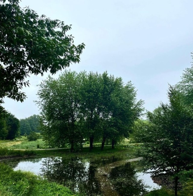 Po burzy w parku Lotników Polskich powstał... nowy staw