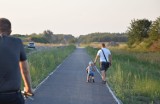 Ścieżka rowerowa Żnin - Jaroszewo prawie gotowa. Cykliści już z niej korzystają [zdjęcia] 