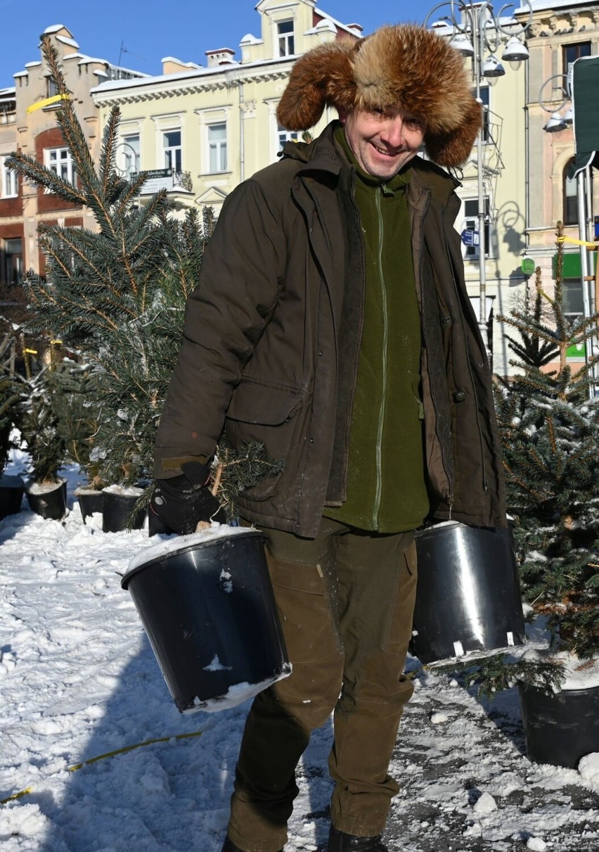"Energetyczne drzewko" w Kielcach. Mieszkańcy brali udział w quizie i odbierali choinki. Zobacz film 