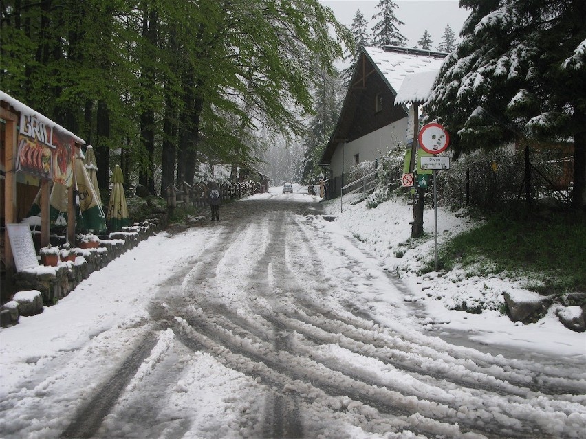 Zakopane: zima wraca pod Tatry