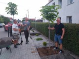 Gmina Niechanowo. Mieszkańcy Jarząbkowa w czynie społecznym posadzili drzewa 