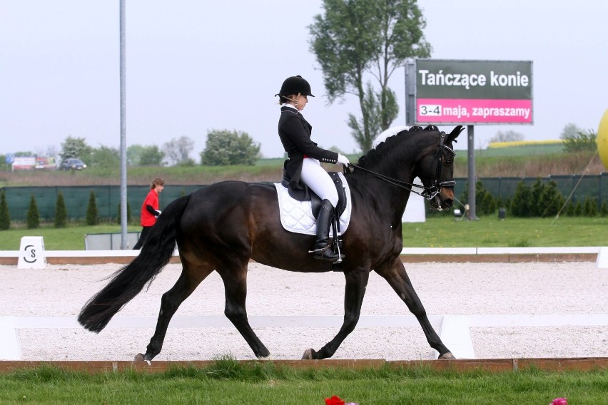 Zawody jeździeckie w Radzionkowie 2014