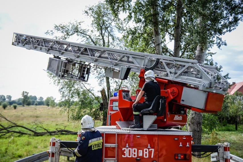 We wtorek, 20 sierpnia, strażacy z OSP Witnica wyjechali,...