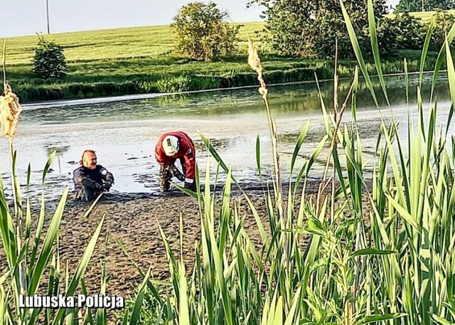 Na szczęście pomoc przyszła na czas