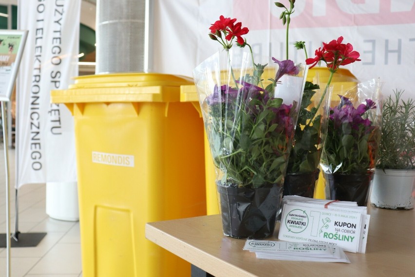 Pierwszy dzień akcji "Elektrośmieci oddajesz – kwiatki dostajesz" w Centrum Handlowym Forum Gliwice za nami