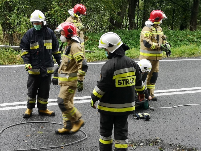 Wypadek w Kłódce pod Grudziądzem. Na DK 16 bus przewrócił się na bok [zdjęcia, wideo]