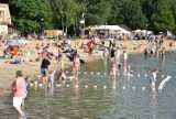 Gdzie na wakacje? Skorzęcin - turystyczna perła Wielkopolski! Czyste jezioro, doskonała gastronomia, bon turystyczny [FOTO]