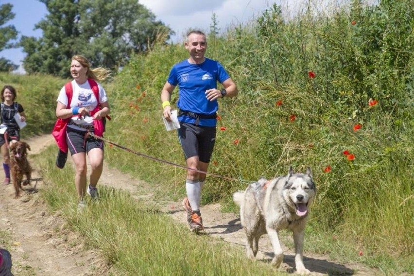 W niedzielę I Jastrzębski DogTrekking. Pobiegnij razem z pupilem