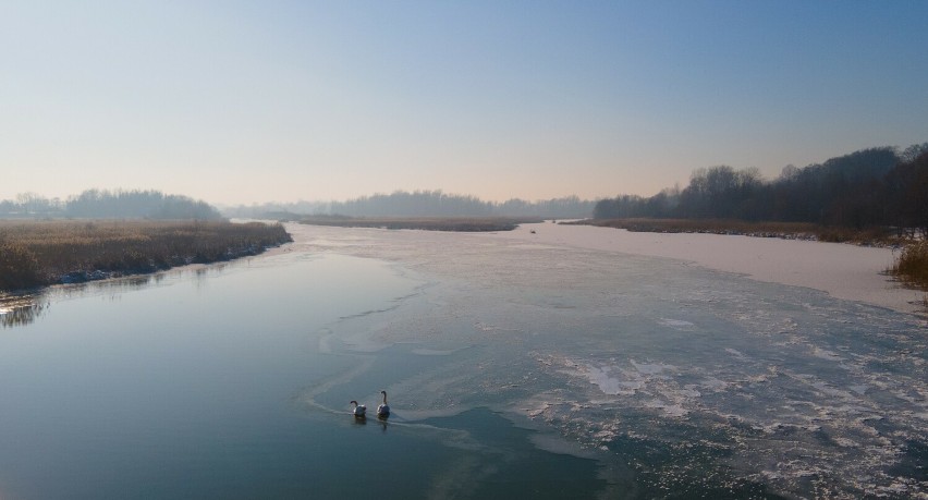 Urokliwy rzeszowski Zalew w zimowej szacie. Zobacz zdjęcia