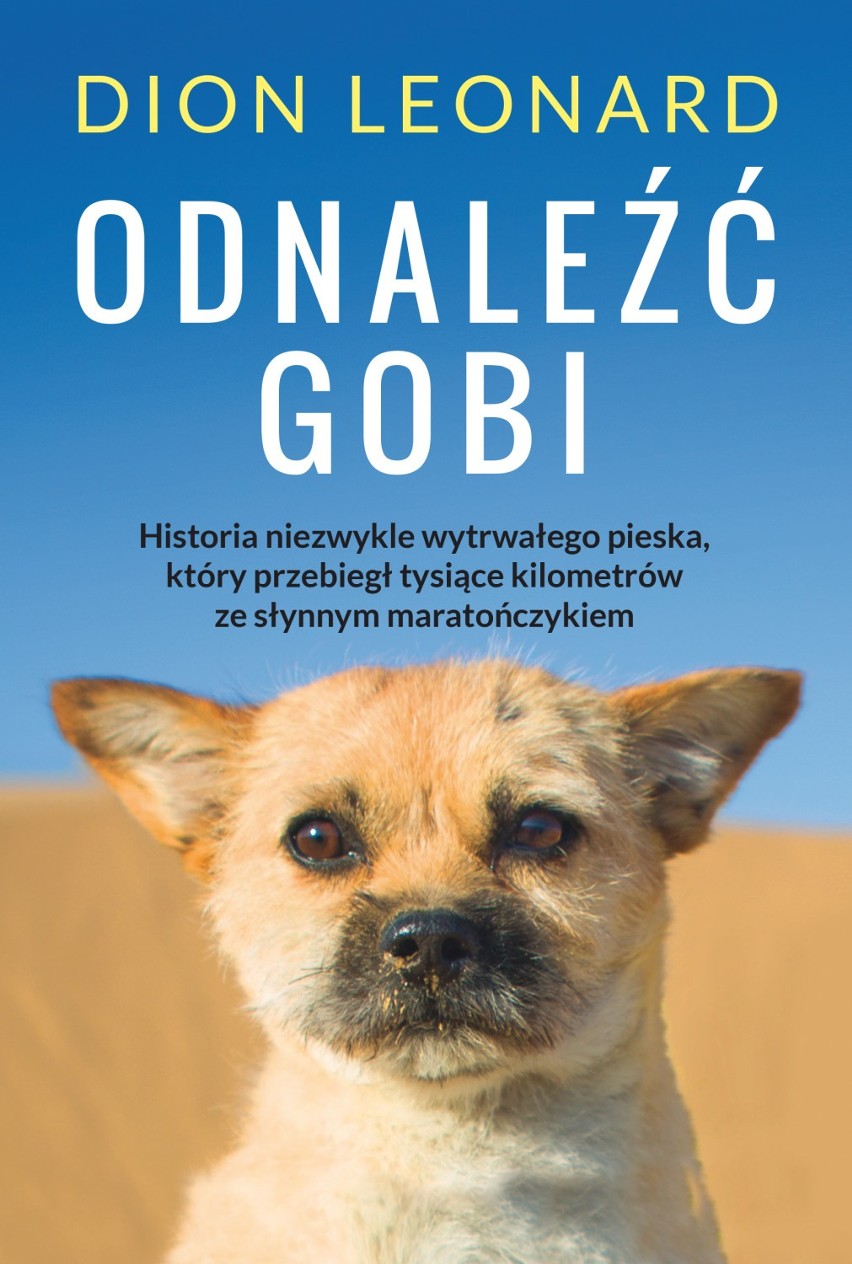 Wzruszająca historia biegacza Diona Leonarda i psa Gobi, którzy przebiegli ultramaraton