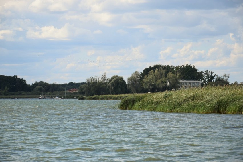 Zbąszyń. Plaża miejska "Łazienki" -  Niedziela 23 sierpnia 2020 nad jeziorem Błędno [ZDJĘCIA]