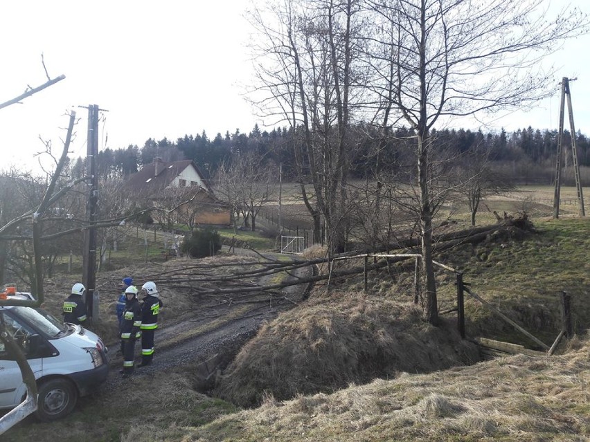 Niespokojna noc dla strażaków w powiatach oświęcimskim i wadowickim. Od północy interweniowali kilkadziesiąt razy