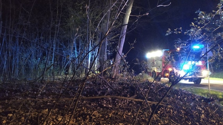 Nocna akcja poszukiwawcza dziecka w lasach pod Oleśnicą (FOTO)