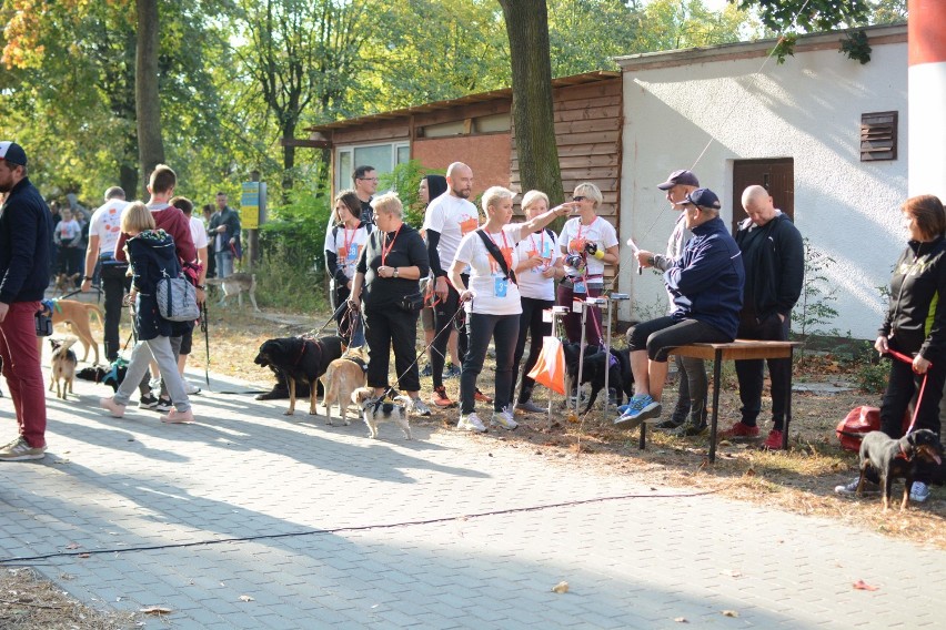 Bieg na 4+2 łapy w Grudziądzu [wideo, zdjęcia]