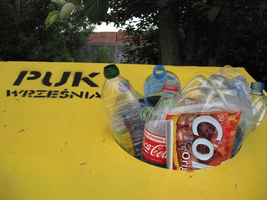 Wywóz śmieci we Wrześni. Przepełniony śmietnik przy...