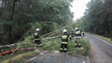 Burza nad powiatem lipnowskim. Szczegóły interwencji straży pożarnej