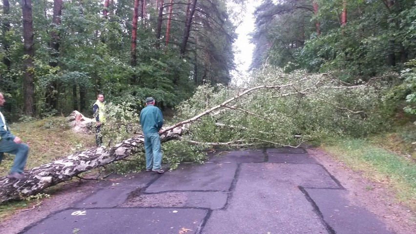 Na drodze Poręby-Piaski drzewo z jezdni usuwali strażacy i...