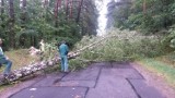 Burza wyrządziła spore szkody [zdjęcia]