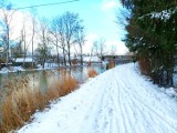 Zima wróciła na Żuławy. Zimowa sceneria miejska pokryta białym puchem./ ZDJĘCIA