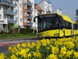 Pierwszy w Tychach autobus w barwach metropolii. Premiera na Silesia Komunikacja 2019 ZDJĘCIA