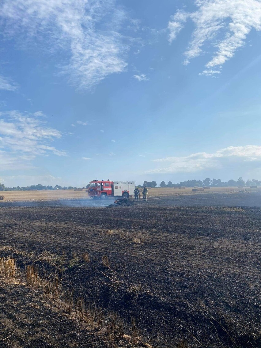 Pożar w gminie Suchy Dąb. Po godzinie 13 w poniedziałek 16.08.2021 strażacy dostali wezwanie do pożaru rżyska, wciąż walczą z ogniem