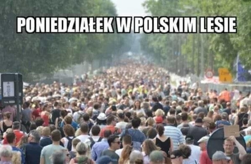 Lasy, parki, skwery otwarte! Od 20 kwietnia znów można...