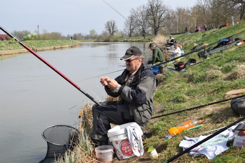 Nowy Dwór Gd. Mistrzostwa Koła PZW nr 6 w wędkarstwie...