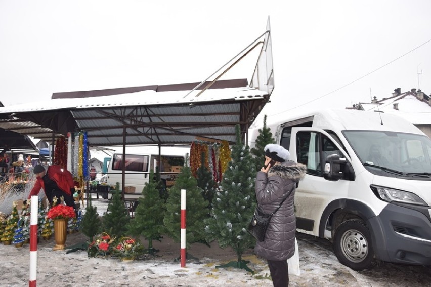 Nowy Sącz. Jeśli prawdziwa choinka to cięta czy w doniczce, a może jednak sztuczna? [ZDJĘCIA]