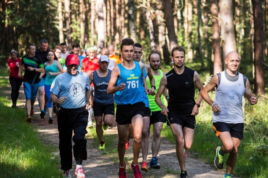 Biegowe Grand Prix Powiatu Puckiego, Władysławowo 2017