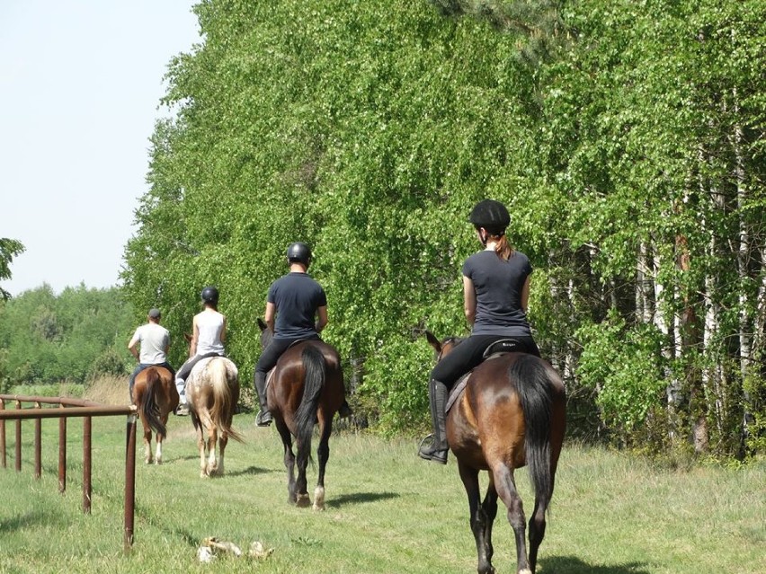 Era Travel poleca na wakacje i nie tylko: Stajnia Gowarzów