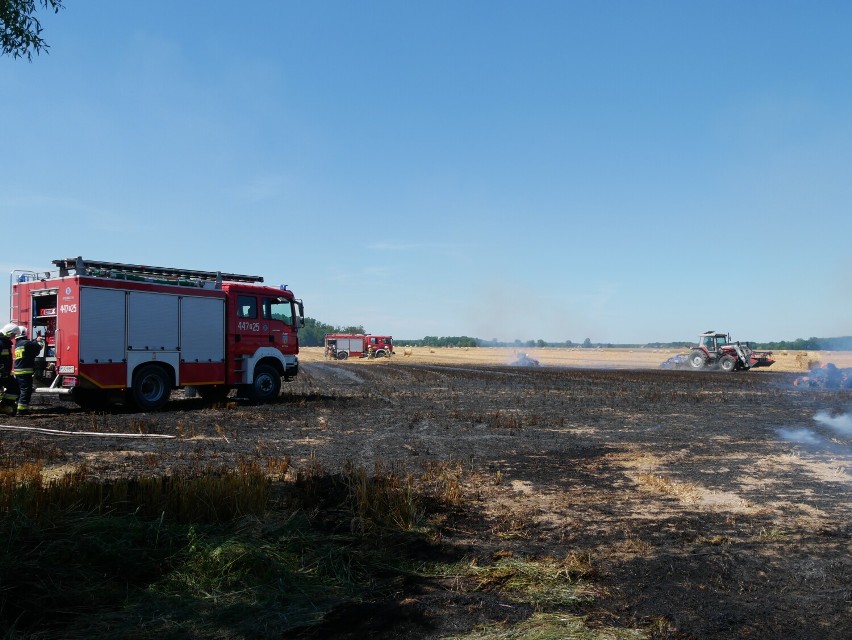 Pożar pola w Grąblewie. Spłonął hektar ścierniska i 5 balotów słomy