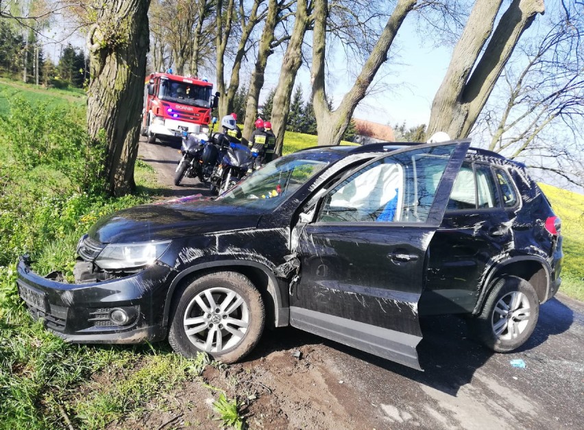 57-latka uderzyła w drzewo. Nie chciała rozjechać kota...Kobieta trafiła do szpitala